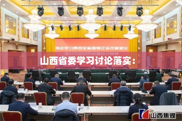 山西省委学习讨论落实： 