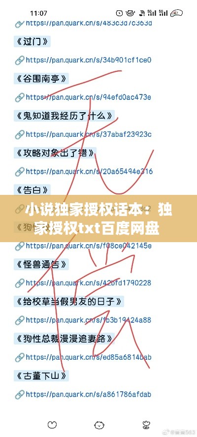 小说独家授权话本：独家授权txt百度网盘 