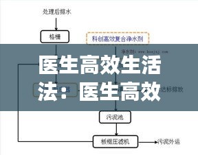 医生高效生活法：医生高效生活法律法规 