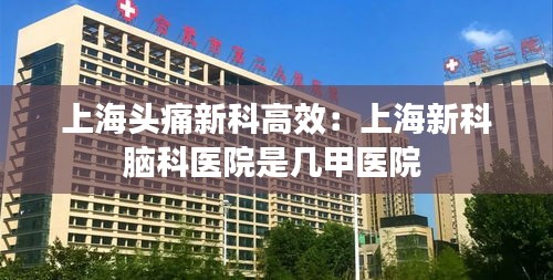 上海头痛新科高效：上海新科脑科医院是几甲医院 