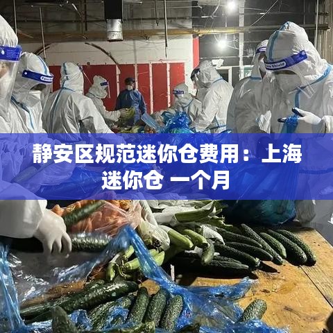 静安区规范迷你仓费用：上海 迷你仓 一个月 