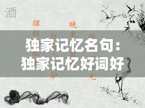 独家记忆名句：独家记忆好词好句 