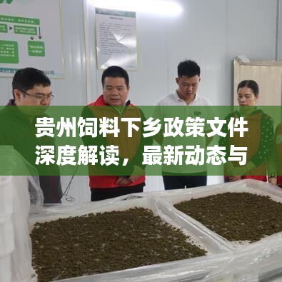 贵州饲料下乡政策文件深度解读，最新动态与要点分析