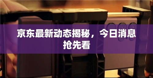 京东最新动态揭秘，今日消息抢先看