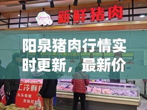 阳泉猪肉行情实时更新，最新价格与市场动态