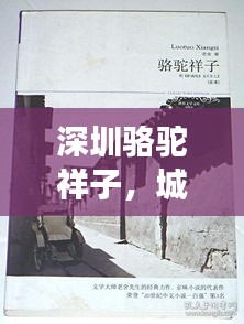 深圳骆驼祥子，城市变迁与文化交融的生动故事展现