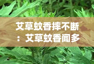 艾草蚊香摔不断：艾草蚊香闻多了对身体有害吗 