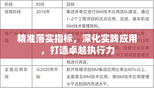 精准落实指标，深化实践应用，打造卓越执行力