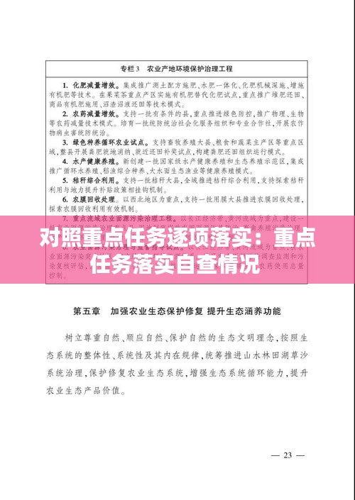 对照重点任务逐项落实：重点任务落实自查情况 