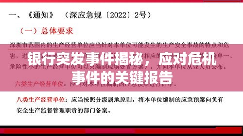 银行突发事件揭秘，应对危机事件的关键报告