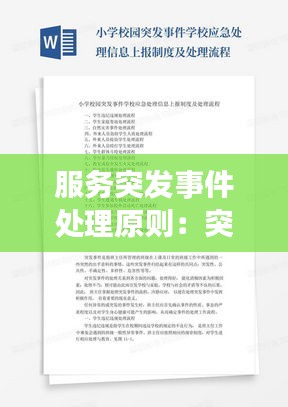 服务突发事件处理原则：突发事件处理原则小学 