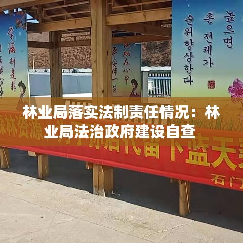 林业局落实法制责任情况：林业局法治政府建设自查 