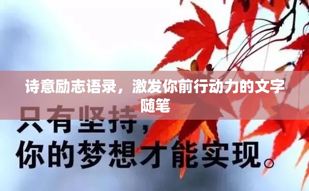 诗意励志语录，激发你前行动力的文字随笔