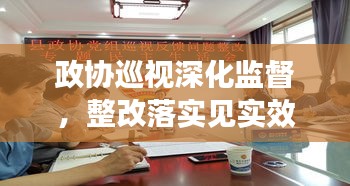 政协巡视深化监督，整改落实见实效，促进工作再上新台阶