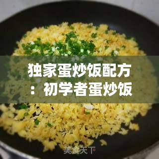 独家蛋炒饭配方：初学者蛋炒饭的做法视频 