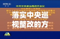 落实中央巡视整改的方案：落实中央巡视整改工作整改报告 