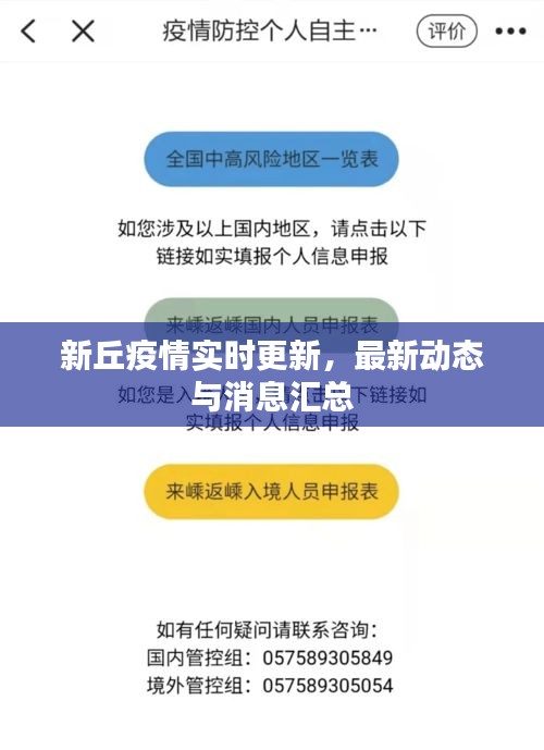 新丘疫情实时更新，最新动态与消息汇总