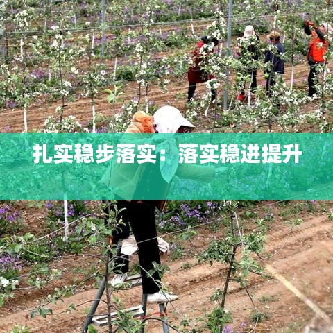 扎实稳步落实：落实稳进提升 