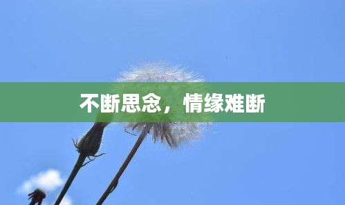 不断思念，情缘难断