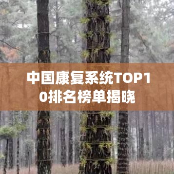 中国康复系统TOP10排名榜单揭晓