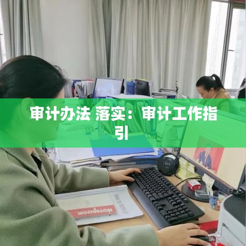 审计办法 落实：审计工作指引 