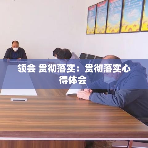 领会 贯彻落实：贯彻落实心得体会 