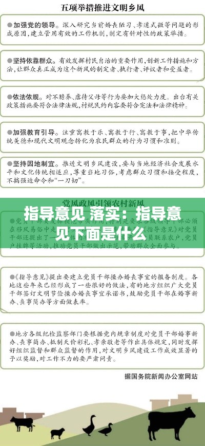 指导意见 落实：指导意见下面是什么 