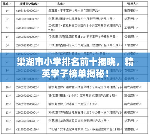 巢湖市小学排名前十揭晓，精英学子榜单揭秘！