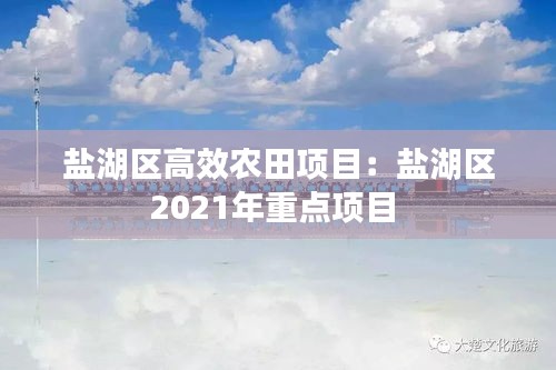 盐湖区高效农田项目：盐湖区2021年重点项目 