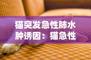 猫突发急性肺水肿诱因：猫急性肺水肿几天脱离危险 