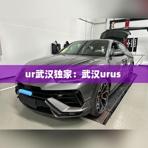 ur武汉独家：武汉urus 