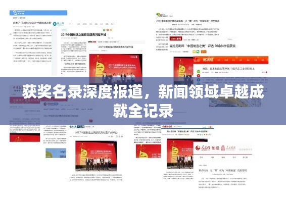 获奖名录深度报道，新闻领域卓越成就全记录