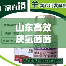 山东高效厌氧菌菌种研发：厌氧菌肥料 