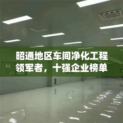 昭通地区车间净化工程领军者，十强企业榜单揭晓！