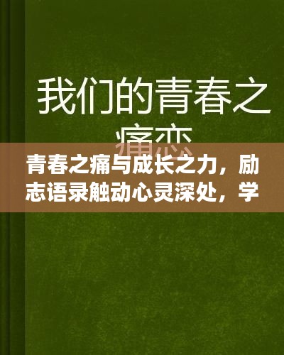 青春之痛与成长之力，励志语录触动心灵深处，学子们的伤感与坚韧故事