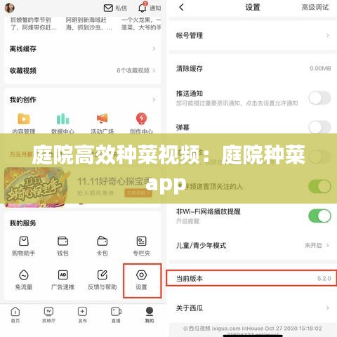 庭院高效种菜视频：庭院种菜app 