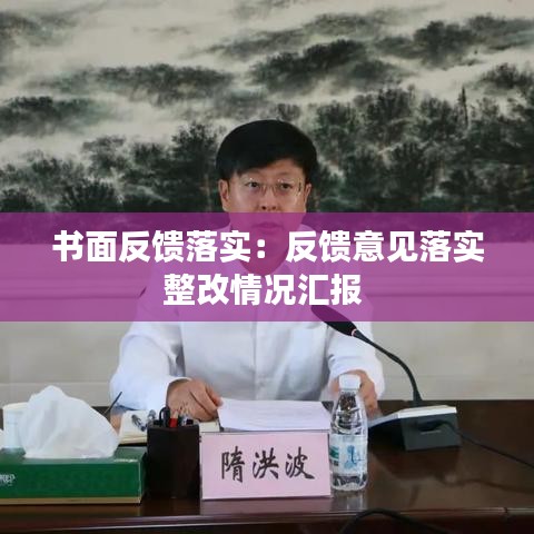 书面反馈落实：反馈意见落实整改情况汇报 