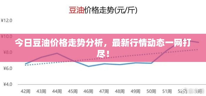 今日豆油价格走势分析，最新行情动态一网打尽！