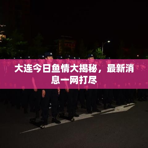 大连今日鱼情大揭秘，最新消息一网打尽