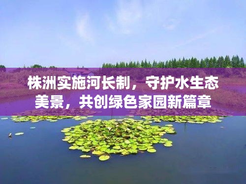 株洲实施河长制，守护水生态美景，共创绿色家园新篇章