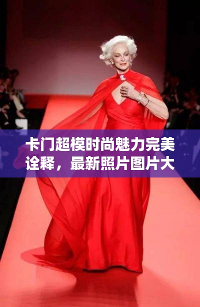 卡门超模时尚魅力完美诠释，最新照片图片大全曝光！