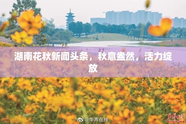 湖南花秋新闻头条，秋意盎然，活力绽放