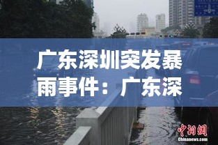 广东深圳突发暴雨事件：广东深圳暴雨预警 