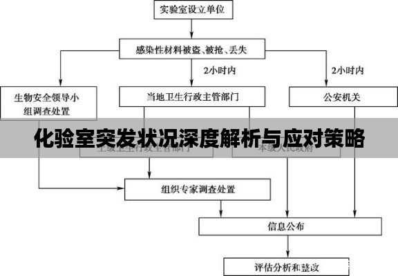 2025年1月26日 第20页