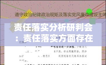 责任落实分析研判会：责任落实方面存在的问题原因分析 