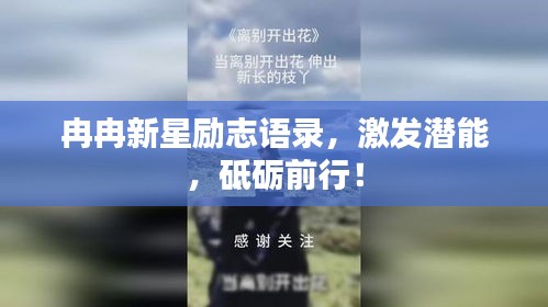 冉冉新星励志语录，激发潜能，砥砺前行！