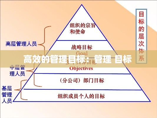 高效的管理目标：管理 目标 