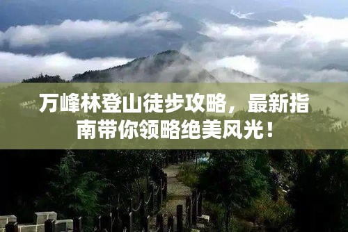 万峰林登山徒步攻略，最新指南带你领略绝美风光！