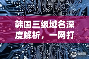 韩国三级域名深度解析，一网打尽，探索无界