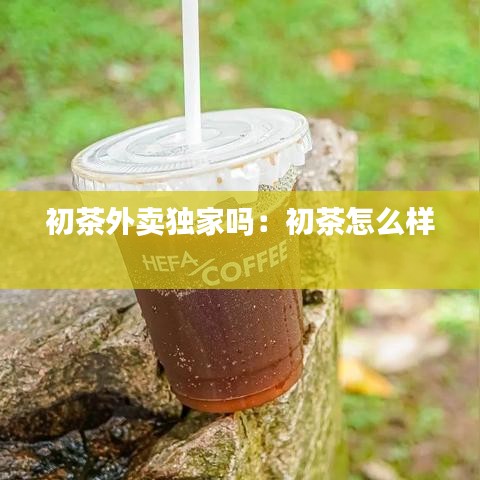 初茶外卖独家吗：初茶怎么样 